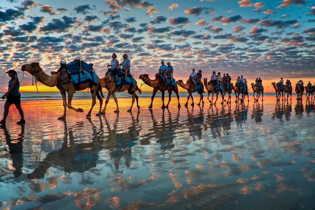 Golden hour sunset on Essaouira beach with camels